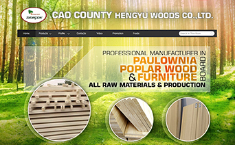 木业建材|东莞谷歌优化
